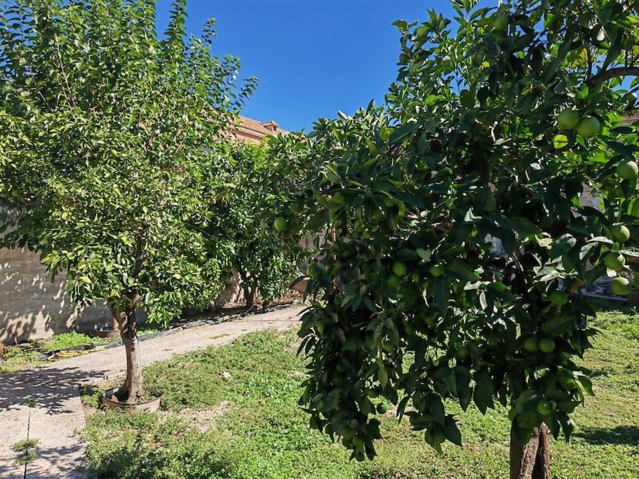 Teralba 1 Casa Rural Calzada de Oropesa Exterior foto